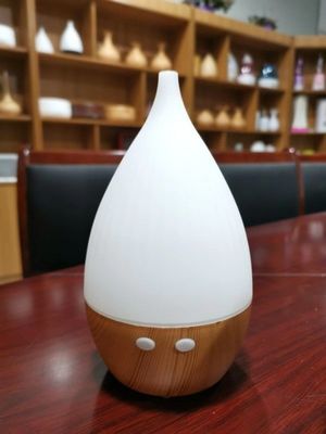 160ml USB 미니 공기 습기장 아로마 에센셜 오일 향수 향수 디퓨저 아로마 테라피
